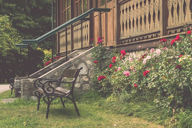 中取得了不 中取得了不