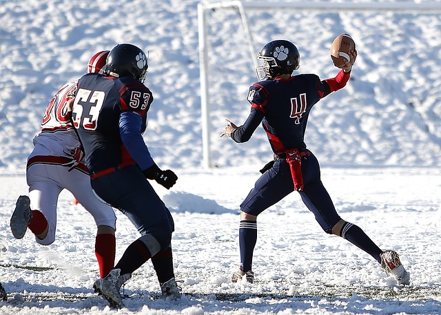 其中具有里 其中具有里