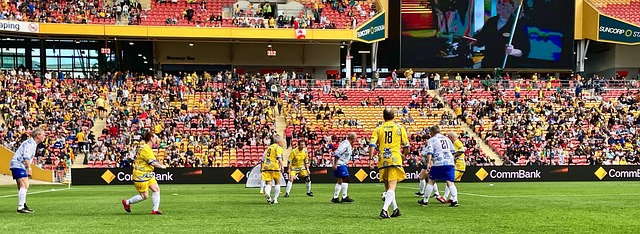 他们不仅积 他们不仅积